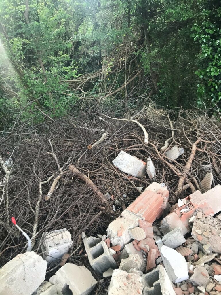 17__1871_photo_1__1_