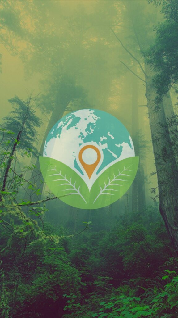 fond d'écran telephone foret